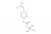tert-butyl 1-(2-hydroxypropyl)piperidin-4-ylcarbamate