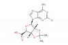 (3aS,4S,6R,6aR)-6-(6-amino-2-chloro-9H-purin-9-yl)-2,2-dimethyltetrahydrofuro[3,4-d][1,3]dioxole-4-carboxylic acid