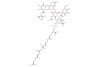 Flavomycin; Bambermycin