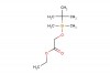 ethyl 2-(tert-butyldimethylsilyloxy)acetate