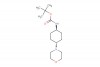 tert-butyl (trans-4-morpholinocyclohexyl)carbamate