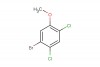 1-bromo-2,4-dichloro-5-methoxybenzene