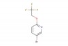 5-bromo-2-(2,2,2-trifluoroethoxy)pyridine