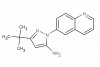 3-(tert-butyl)-1-(quinolin-6-yl)-1H-pyrazol-5-amine