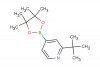 2-(tert-butyl)-4-(4,4,5,5-tetramethyl-1,3,2-dioxaborolan-2-yl)pyridine