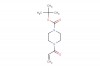 tert-butyl 4-acryloylpiperazine-1-carboxylate