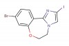 9-bromo-2-iodo-5,6-dihydrobenzo[f]imidazo[1,2-d][1,4]oxazepine