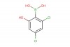 (2,4-dichloro-6-hydroxyphenyl)boronic acid