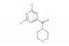 (2,6-dichloropyridin-4-yl)(morpholino)methanone