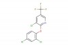 3-chloro-2-(2,4-dichlorophenoxy)-5-(trifluoromethyl)pyridine