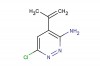 6-chloro-4-(prop-1-en-2-yl)pyridazin-3-amine