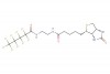 2,2,3,3,4,4,5,5,5-nonafluoro-N-(2-(5-((3aS,4S,6aR)-2-oxohexahydro-1H-thieno[3,4-d]imidazol-4-yl)pentanamido)ethyl)pentanamide