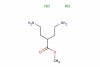 methyl 4-amino-2-(2-aminoethyl)butanoate dihydrochloride