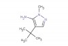 4-(tert-butyl)-1-methyl-1H-pyrazol-5-amine