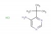4-(tert-butyl)pyrimidin-5-amine hydrochloride