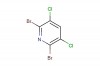 2,6-dibromo-3,5-dichloropyridine