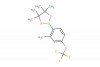 4,4,5,5-tetramethyl-2-(2-methyl-4-(trifluoromethoxy)phenyl)-1,3,2-dioxaborolane