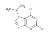 2,6-dichloro-7-isopropyl-7H-purine