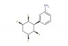 benzenamine, 3-[(2S,3R,5S,6R)-2,3,5,6-tetrafluorocyclohexyl]-, rel-