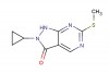 2-cyclopropyl-6-(methylthio)-1H-pyrazolo[3,4-d]pyrimidin-3(2H)-one