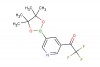 2,2,2-trifluoro-1-(5-(4,4,5,5-tetramethyl-1,3,2-dioxaborolan-2-yl)pyridin-3-yl)ethan-1-one