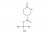 tert-butyl 4-oxotetrahydropyrimidine-1(2H)-carboxylate
