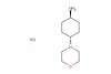 trans-4-morpholinocyclohexanamine hydrochloride