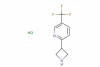 2-(azetidin-3-yl)-5-(trifluoromethyl)pyridine hydrochloride