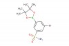 3-bromo-5-(4,4,5,5-tetramethyl-1,3,2-dioxaborolan-2-yl)benzenesulfonamide