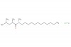 (S)-2-amino-N-dodecyl-N,4-dimethylpentanamide hydrochloride