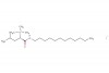 (S)-1-(dodecylamino)-N,N,N,4-tetramethyl-1-oxopentan-2-aminium iodide