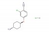 4-[(trans-4-Aminocyclohexyl)oxy]-2-chlorobenzonitrile hydrochloride