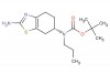 tert-butyl (S)-(2-amino-4,5,6,7-tetrahydrobenzo[d]thiazol-6-yl)(propyl)carbamate