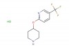 2-(piperidin-4-yloxy)-5-(trifluoromethyl)pyridine hydrochloride