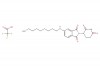 5-((8-aminooctyl)amino)-2-(2,6-dioxopiperidin-3-yl)isoindoline-1,3-dione 2,2,2-trifluoroacetic acid