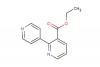 ethyl [2,4'-bipyridine]-3-carboxylate
