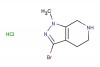 3-bromo-1-methyl-4,5,6,7-tetrahydro-1H-pyrazolo[3,4-c]pyridine hydrochloride
