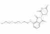 4-((2-(2-(2-aminoethoxy)ethoxy)ethyl)amino)-2-(2,6-dioxopiperidin-3-yl)isoindoline-1,3-dione