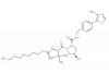 (S,R,S)-AHPC-C8-NH2