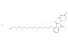 Pomalidomide-PEG4-C2-NH2 HCl