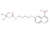 6-(4-((tert-butoxycarbonyl)amino)butoxy)quinoline-4-carboxylic acid
