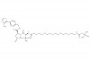 tert-butyl ((S)-19-((2S,4R)-4-hydroxy-2-((4-(4-methylthiazol-5-yl)benzyl)carbamoyl)pyrrolidine-1-carbonyl)-20,20-dimethyl-17-oxo-3,6,9,12,15-pentaoxa-18-azahenicosyl)carbamate