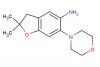 2,2-dimethyl-6-morpholino-2,3-dihydrobenzofuran-5-amine
