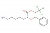 2,2,2-trichloroethyl (5-aminopentyl)(benzyloxy)carbamate