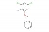 1-(benzyloxy)-3,5-dichloro-2-iodobenzene
