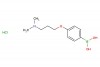 4-(3-(dimethylamino)propoxy)phenylboronic acid hydrochloride