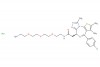 (S)-N-(2-(2-(2-(2-aminoethoxy)ethoxy)ethoxy)ethyl)-2-(4-(4-chlorophenyl)-2,3,9-trimethyl-6H-thieno[3,2-f][1,2,4]triazolo[4,3-a][1,4]diazepin-6-yl)acetamide hydrochloride