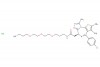 (S)-N-(3-(2-(2-(3-aminopropoxy)ethoxy)ethoxy)propyl)-2-(4-(4-chlorophenyl)-2,3,9-trimethyl-6H-thieno[3,2-f][1,2,4]triazolo[4,3-a][1,4]diazepin-6-yl)acetamide hydrochloride