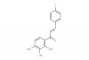 (E)-3-(4-fluorophenyl)-1-(2,3,4-trihydroxyphenyl)prop-2-en-1-one