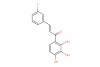 (E)-3-(3-fluorophenyl)-1-(2,3,4-trihydroxyphenyl)prop-2-en-1-one